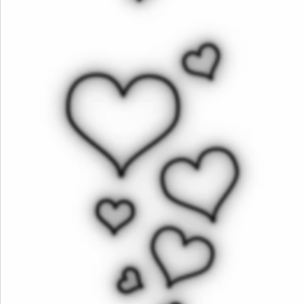 Meet your Posher, Paytyn